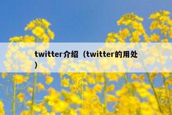 twitter介绍（twitter的用处） 第1张