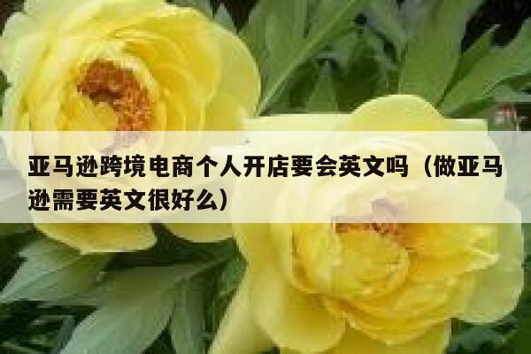 亚马逊跨境电商个人开店要会英文吗（做亚马逊需要英文很好么） 第1张