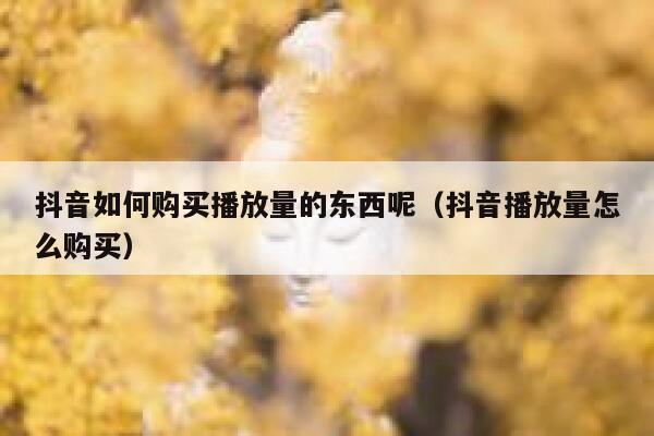 抖音如何购买播放量的东西呢（抖音播放量怎么购买） 第1张