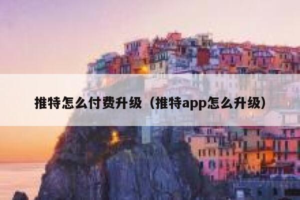推特怎么付费升级（推特app怎么升级） 第1张
