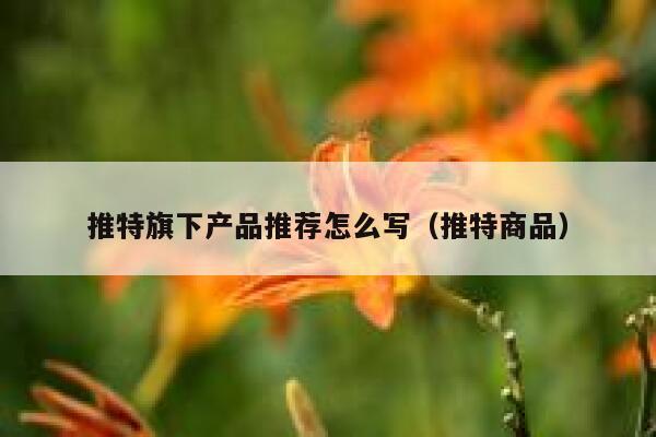 推特旗下产品推荐怎么写（推特商品） 第1张