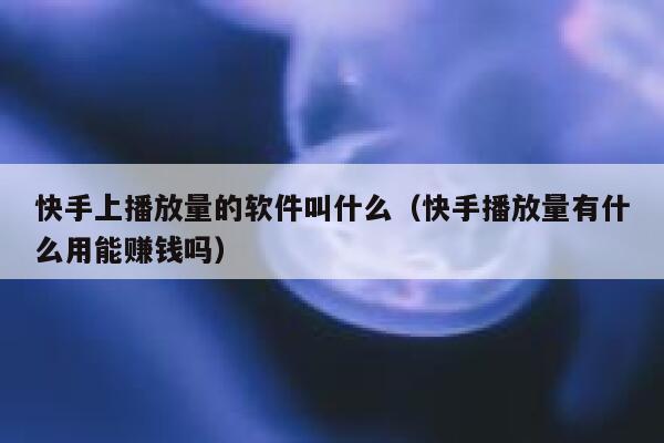 快手上播放量的软件叫什么（快手播放量有什么用能赚钱吗） 第1张