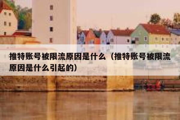 推特账号被限流原因是什么（推特账号被限流原因是什么引起的） 第1张