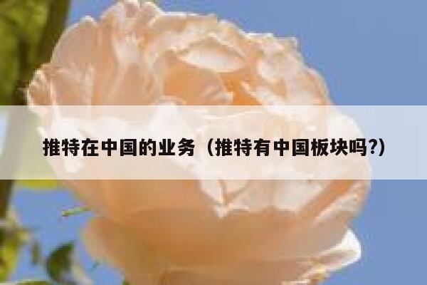 推特在中国的业务（推特有中国板块吗?） 第1张