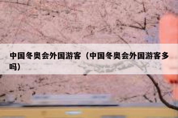 中国冬奥会外国游客（中国冬奥会外国游客多吗） 第1张