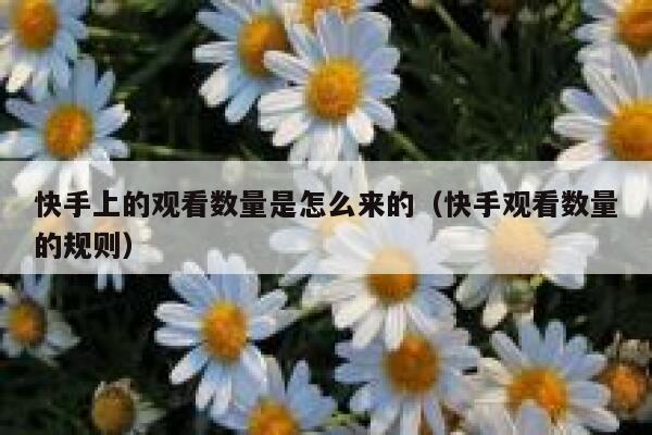 快手上的观看数量是怎么来的（快手观看数量的规则） 第1张