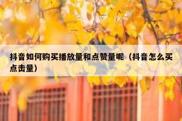 抖音如何购买播放量和点赞量呢（抖音怎么买点击量） 第1张
