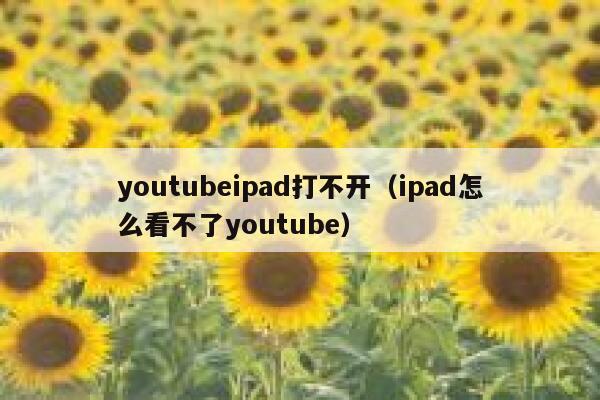 youtubeipad打不开(ipad怎么看不了youtube) 第1张 youtubeipad打不开(ipad怎么看不了youtube) 第1张