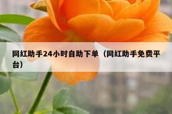 网红助手24小时自助下单（网红助手免费平台） 第1张