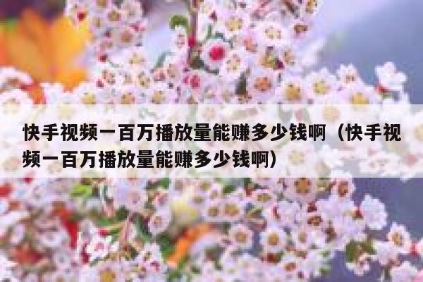 快手视频一百万播放量能赚多少钱啊（快手视频一百万播放量能赚多少钱啊） 第1张