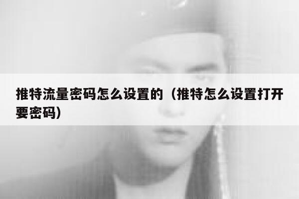 推特流量密码怎么设置的（推特怎么设置打开要密码） 第1张