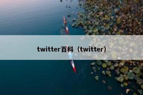 twitter百科（twitter） 第1张