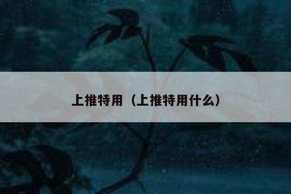 上推特用（上推特用什么） 第1张