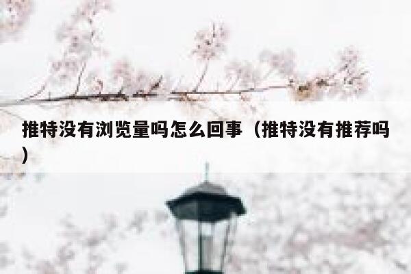 推特没有浏览量吗怎么回事（推特没有推荐吗） 第1张