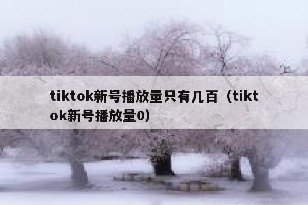 tiktok新号播放量只有几百（tiktok新号播放量0） 第1张