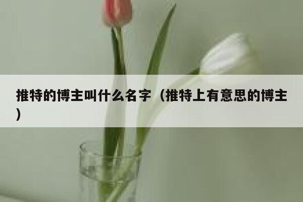 推特的博主叫什么名字（推特上有意思的博主） 第1张