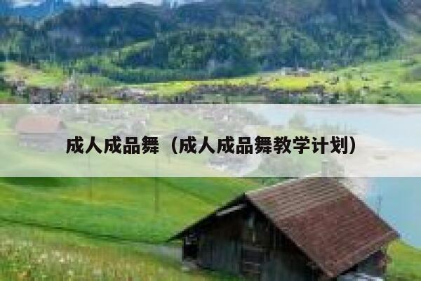 成人成品舞（成人成品舞教学计划） 第1张