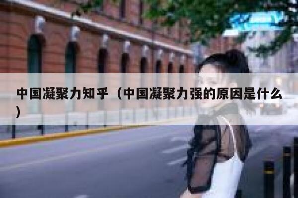 中国凝聚力知乎(中国凝聚力强的原因是什么) 第1张 中国凝聚力知乎(中国凝聚力强的原因是什么) 第1张