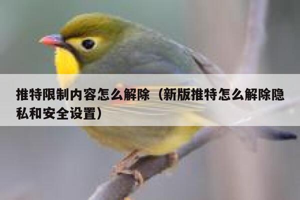 推特限制内容怎么解除(新版推特怎么解除隐私和安全设置) 第1张 推特限制内容怎么解除(新版推特怎么解除隐私和安全设置) 第1张