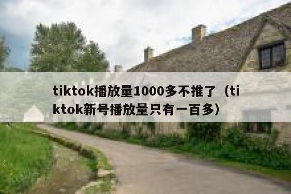tiktok播放量1000多不推了（tiktok新号播放量只有一百多） 第1张