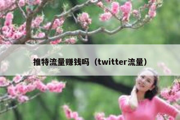 推特流量赚钱吗（twitter流量） 第1张