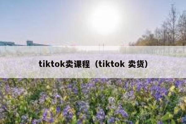 tiktok卖课程（tiktok 卖货） 第1张