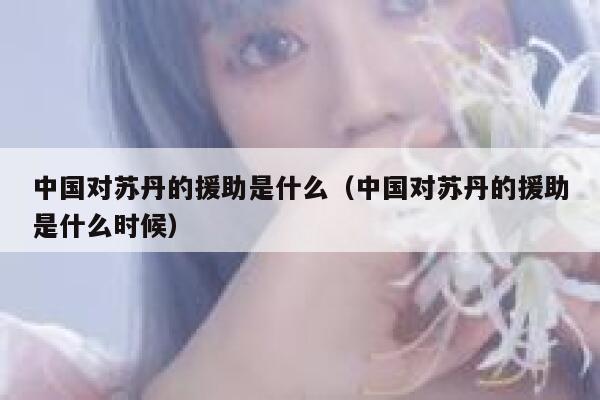 中国对苏丹的援助是什么（中国对苏丹的援助是什么时候） 第1张