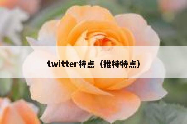twitter特点（推特特点） 第1张