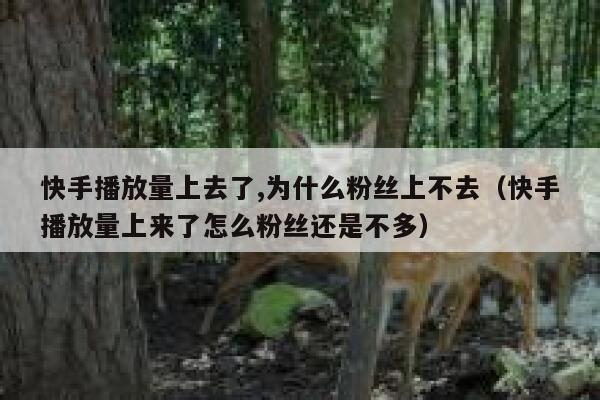 快手播放量上去了,为什么粉丝上不去（快手播放量上来了怎么粉丝还是不多） 第1张