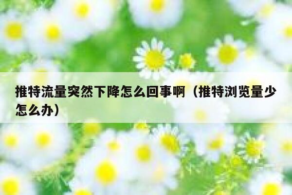 推特流量突然下降怎么回事啊（推特浏览量少怎么办） 第1张