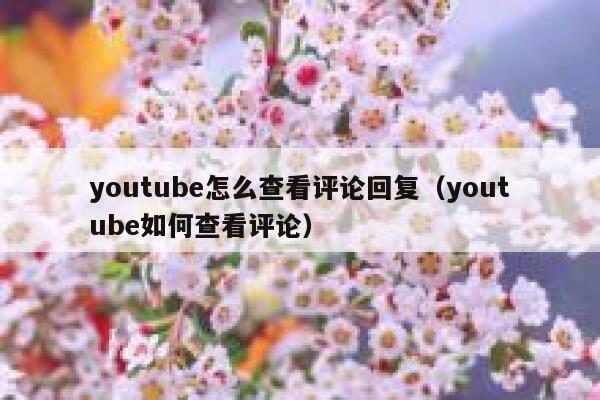 youtube怎么查看评论回复（youtube如何查看评论） 第1张