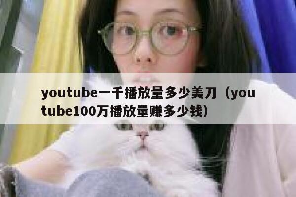 youtube一千播放量多少美刀（youtube100万播放量赚多少钱） 第1张
