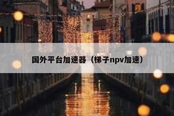 国外平台加速器（梯子npv加速） 第1张
