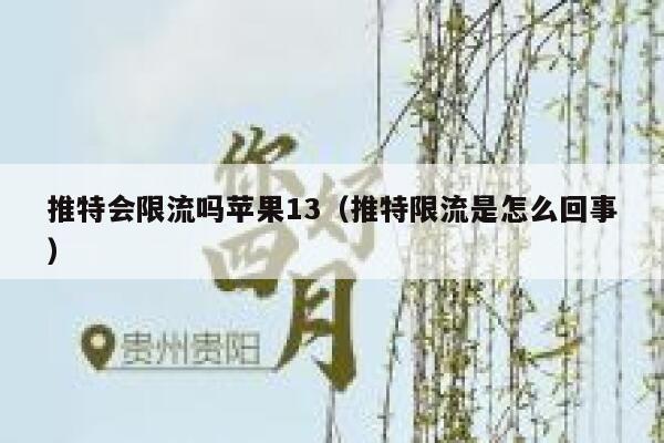 推特会限流吗苹果13（推特限流是怎么回事） 第1张