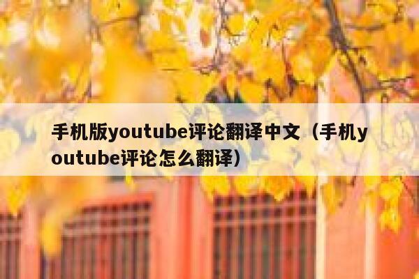 手机版youtube评论翻译中文（手机youtube评论怎么翻译） 第1张