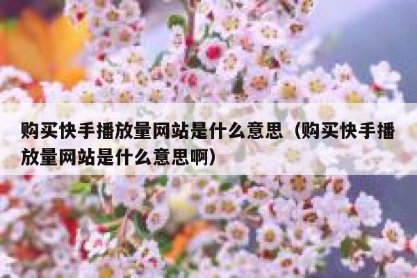 购买快手播放量网站是什么意思（购买快手播放量网站是什么意思啊） 第1张