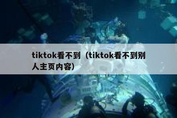 tiktok看不到（tiktok看不到别人主页内容） 第1张