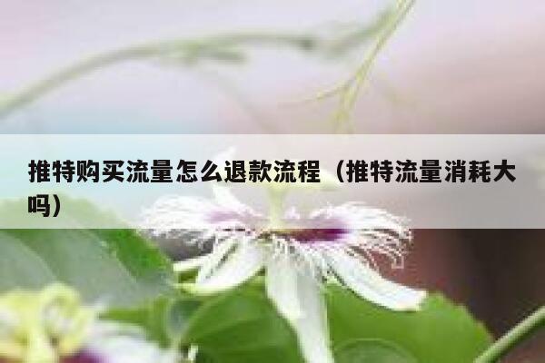 推特购买流量怎么退款流程（推特流量消耗大吗） 第1张