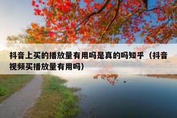 抖音上买的播放量有用吗是真的吗知乎（抖音视频买播放量有用吗） 第1张