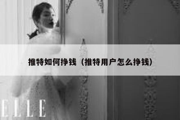 推特如何挣钱（推特用户怎么挣钱） 第1张