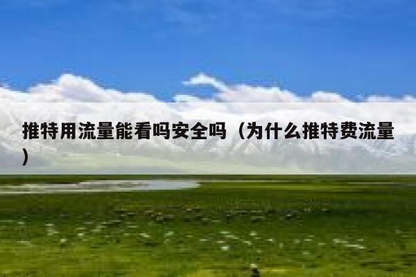 推特用流量能看吗安全吗（为什么推特费流量） 第1张