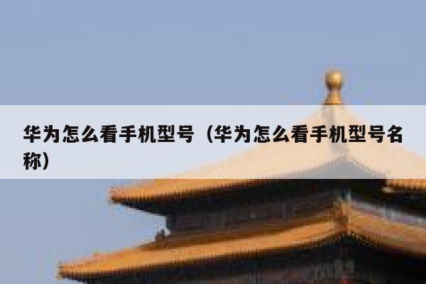 华为怎么看手机型号（华为怎么看手机型号名称） 第1张