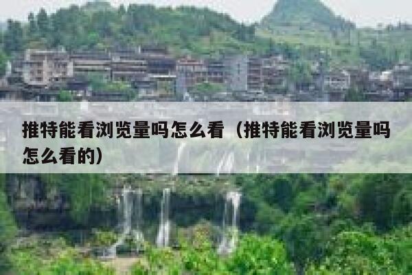 推特能看浏览量吗怎么看（推特能看浏览量吗怎么看的） 第1张