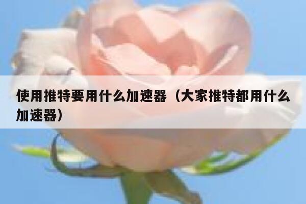 使用推特要用什么加速器（大家推特都用什么加速器） 第1张