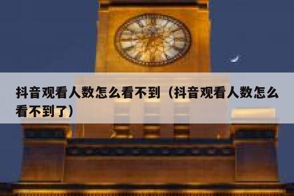 抖音观看人数怎么看不到（抖音观看人数怎么看不到了） 第1张