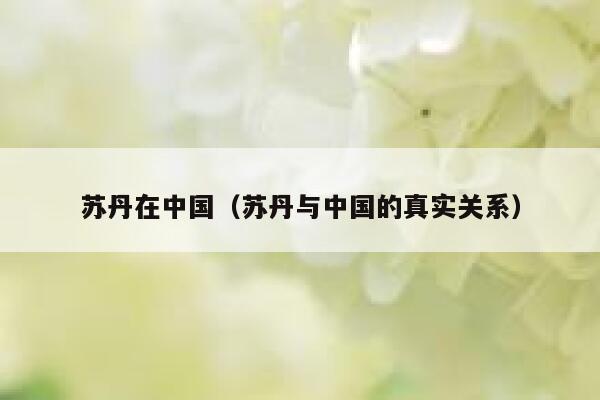 苏丹在中国（苏丹与中国的真实关系） 第1张