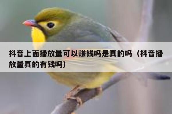 抖音上面播放量可以赚钱吗是真的吗（抖音播放量真的有钱吗） 第1张