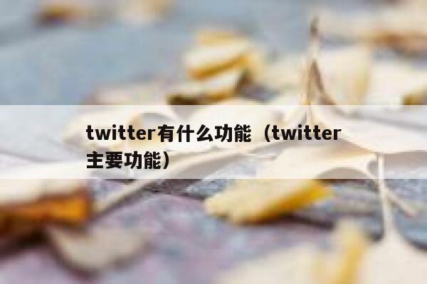 twitter有什么功能（twitter主要功能） 第1张