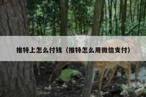 推特上怎么付钱（推特怎么用微信支付） 第1张