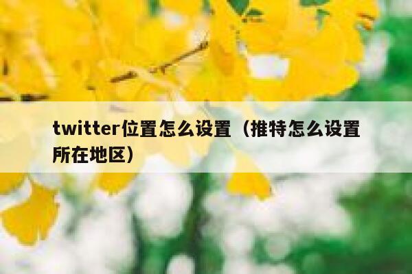 twitter位置怎么设置（推特怎么设置所在地区） 第1张